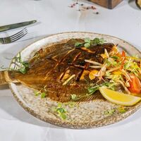 Камбала в Ботаника