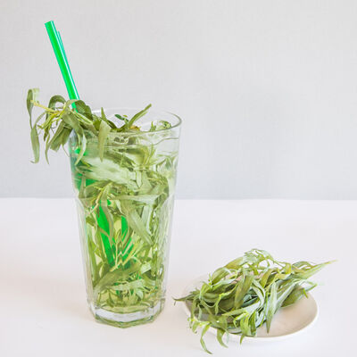 Домашний тархун в Двор Помидор по цене 180