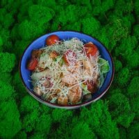 Цезарь с курицей в Liberty