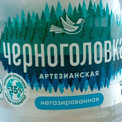 Вода Черноголовка негазированная в Очаг шашлычный рай по цене 150 ₽