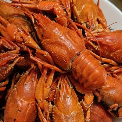 Раки размер M рецепт классический в Раковарня FiSH&CRAB - 1 по цене 4780 ₽