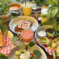 Логотип Тотти