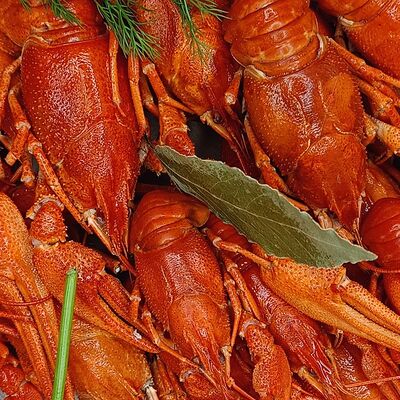 Варка от РАкЧИХИ крупные в Раковарня FiSH&CRAB - 2 по цене 7600 ₽
