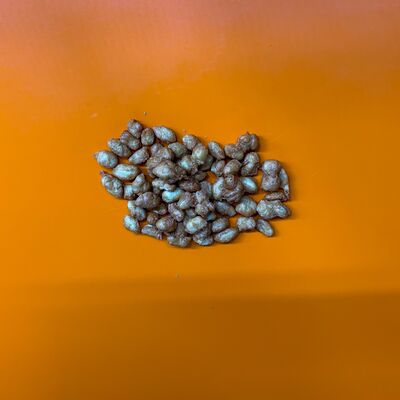 Арахис в глазури в Папа Рядом Гриль-паб по цене 165 ₽