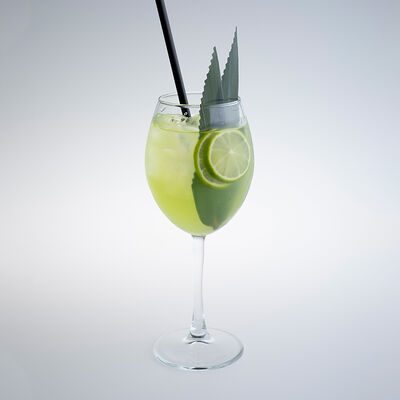 Кактус и Юдзу в Мидийное место по цене 390 ₽