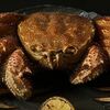 Краб волосатик целый в Royal Crab по цене 2390