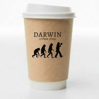 Чай малиновый большой в Darwin Coffee Workshop