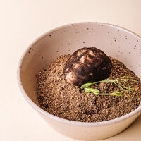 Пирожное картошка в Трай