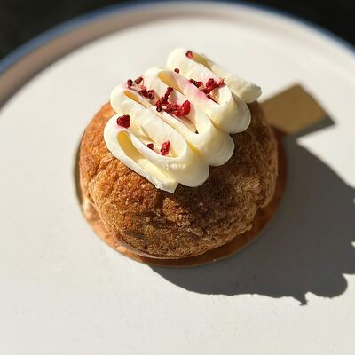 Д Шу вишня в Вольсов по цене 320 ₽