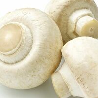 Шампиньоны в Paul