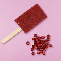 Замороженный натуральный чай СпрусТи еловый с брусникой в Vibecream мороженое