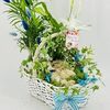 Цветочная композиция из комнатных растений в корзинев Дарите красиво по цене 5890