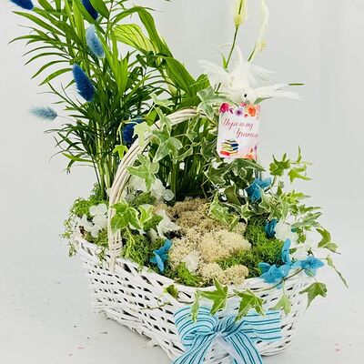 Цветочная композиция из комнатных растений в корзинев Дарите красиво по цене 5890 ₽