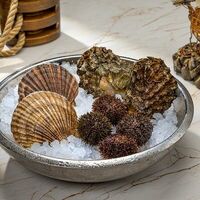 Логотип Семь футов