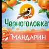 Черноголовка Мандарин в LaBEERint по цене 125