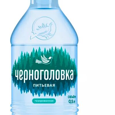 Вода газированная Черноголовкав МИДИЙНАЯ по цене 80 ₽