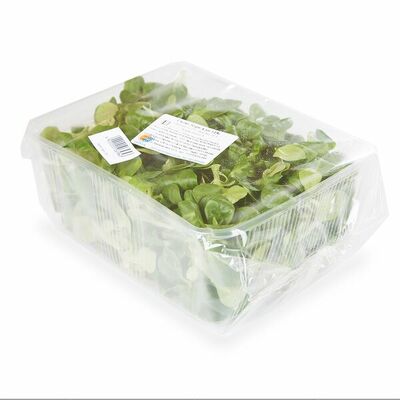 Салат Корн в Азбука Вкуса Экспресс Меню по цене 228 ₽