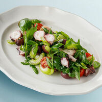 Итальянский салат с осьминогом в Терраса