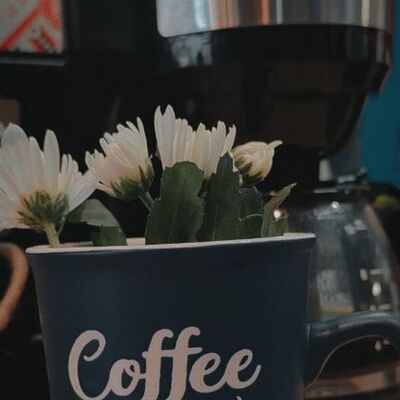 Фильтр-кофе в Moskwin coffee shop по цене 280 ₽