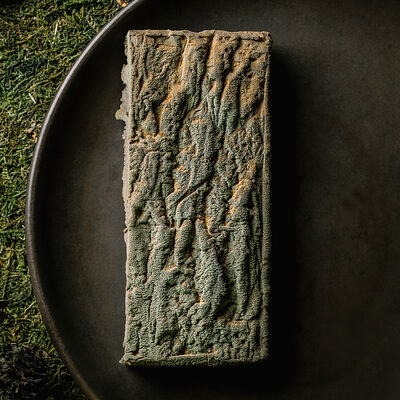 Кора в Yale по цене 830 ₽