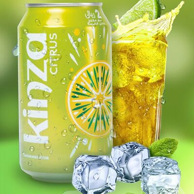 Kinza Citrus в Vesna по цене 140 ₽