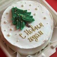 Бенто-торт С Новым годом 1 елочка в The.cakes_spb