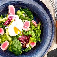 Салат Нисуаз в Mojo