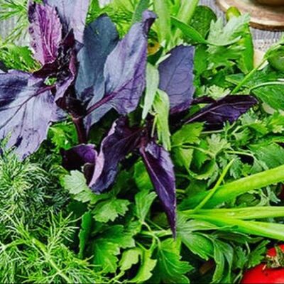 Зелёный букет в Кафе граф по цене 400 ₽