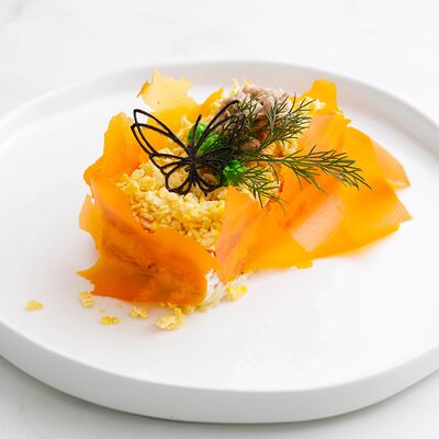 Мимоза в Letto по цене 550 ₽