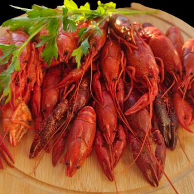 Мега порция раков классических в Вкусноморье по цене 3790 ₽