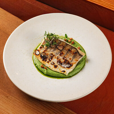 Судак с пюре из брокколи и зеленого горошка с соусом на фисташках и кедровым орехом в Булгаков по цене 840 ₽