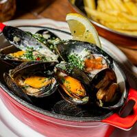 Логотип Фюнамбюль