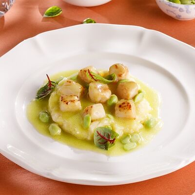 Мурманские гребешки с бобами эдамамев Кукумбер по цене 1090 ₽