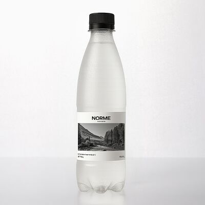 Питьевая вода Norme Water в Norme Cafe по цене 185 ₽