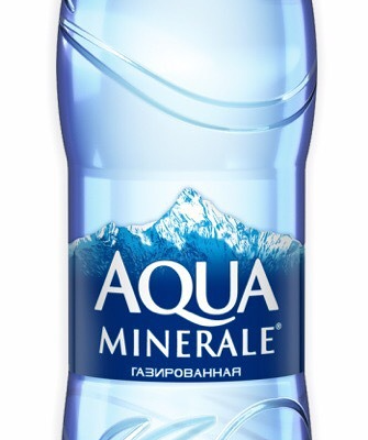 Вода питьевая Aqua minerale газированная в Woksy по цене 114 ₽