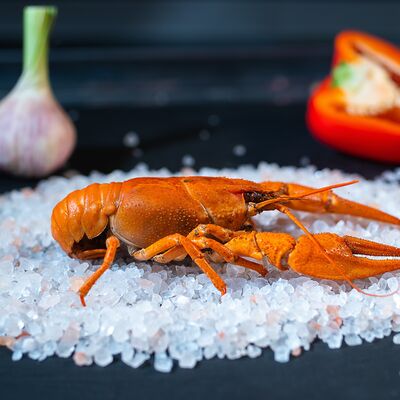 Рак средне-крупный вареный в Раки Кусаки по цене 3850 ₽