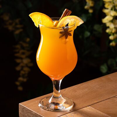 Тропический Грогв АЛЯ РУСЪ по цене 240 ₽