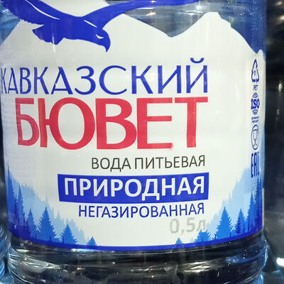 Кавказский Бювет вода питьевая негазированнпя в Жорики кухня на углях по цене 100 ₽