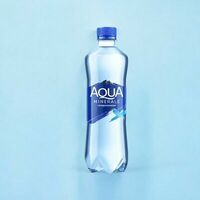 Bon Aqua газированная 0,5л в ХрюЧего