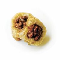 Султан с грецким орехом в Чайна Тун