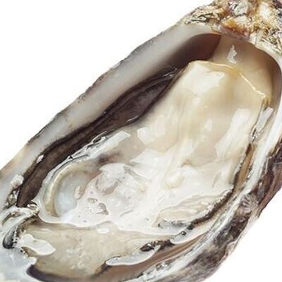 Устрица Муроцу в Свежая устрица по цене 475 ₽