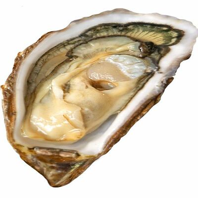 Устрица открытая Королевская в Delivery-Oyster по цене 510 ₽