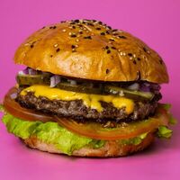 Бургер Классика жанра в Gastro Dog
