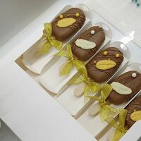 Чизкейки Эскимо Ассорти в молочном шоколадев Katicake