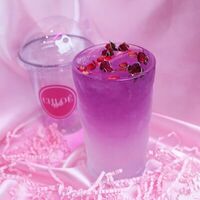 Анчан & Лимон в Chloe