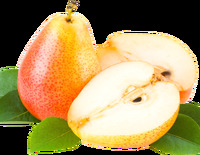 Груша в Чентуриппе