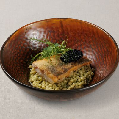 Судак с пастой птитим и икрой палтуса в Мука и Фартук по цене 828 ₽