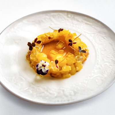 Тартар из дорадо с кедровым орехомв Dodici Italy по цене 990 ₽