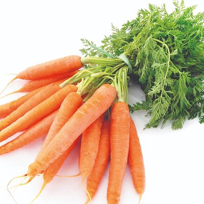 Морковь молодая в Зелёный Домик по цене 270 ₽