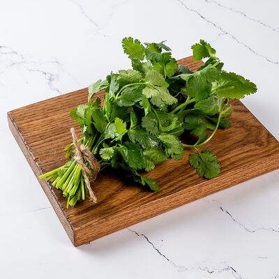 Кинза свежая в Ресторан Батони по цене 55 ₽